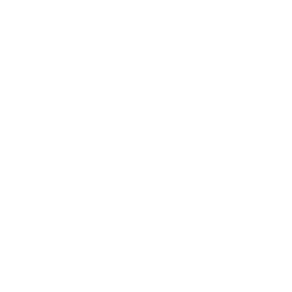 Логотип Naipache